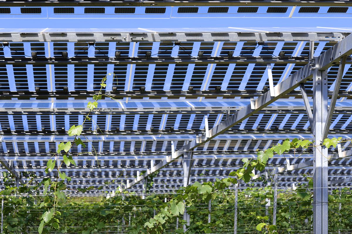 ソーラーシェアリング（営農型太陽光発電）で活用可能な補助金・支援制度