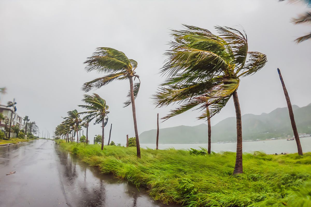 台風の強さと大きさの分類