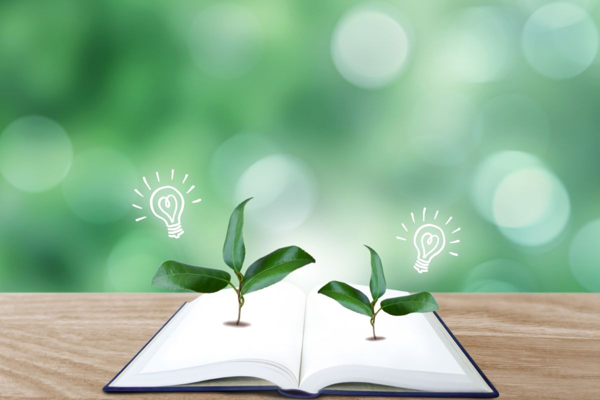 温対法と省エネ法の違い